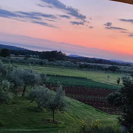 Mateo Apartman Rogovici